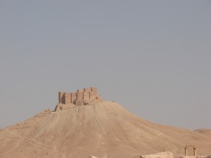 Palmira - Syria - Palmyra (47)