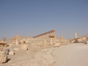 Palmira - Syria - Palmyra (50)