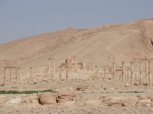 Palmira - Syria - Palmyra (63)