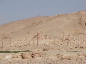 Palmira - Syria - Palmyra (63)
