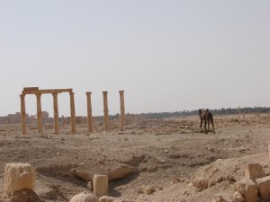 Palmira - Syria - Palmyra (71)