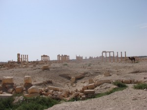 Palmira - Syria - Palmyra (72)