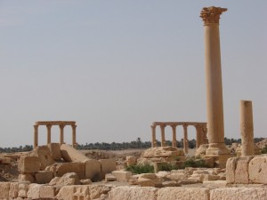 Palmira - Syria - Palmyra (74)