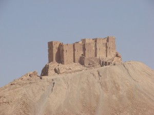 Palmira - Syria - Palmyra (80)