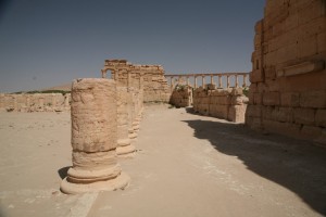 Palmyra - Syria - Palmira (192)