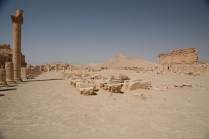 Palmyra - Syria - Palmira (193)