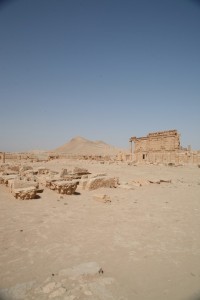 Palmyra - Syria - Palmira (194)