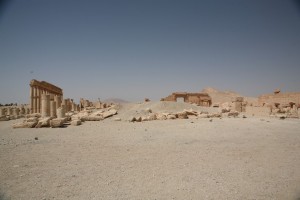 Palmyra - Syria - Palmira (200)