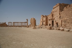 Palmyra - Syria - Palmira (208)