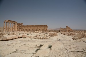 Palmyra - Syria - Palmira (211)