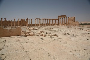 Palmyra - Syria - Palmira (213)
