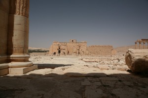 Palmyra - Syria - Palmira (216)