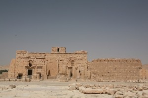 Palmyra - Syria - Palmira (217)