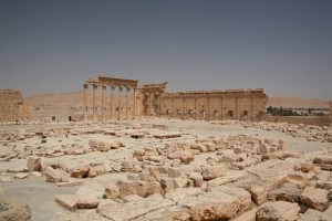 Palmyra - Syria - Palmira (218)