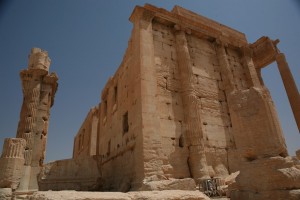 Palmyra - Syria - Palmira (221)