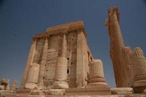Palmyra - Syria - Palmira (223)