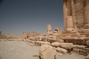 Palmyra - Syria - Palmira (224)