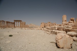 Palmyra - Syria - Palmira (225)