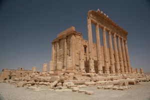 Palmyra - Syria - Palmira (226)