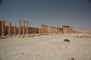 Palmyra - Syria - Palmira (227)