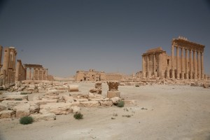 Palmyra - Syria - Palmira (231)