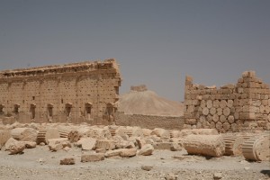 Palmyra - Syria - Palmira (236)