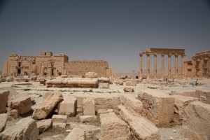Palmyra - Syria - Palmira (240)