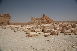 Palmyra - Syria - Palmira (241)