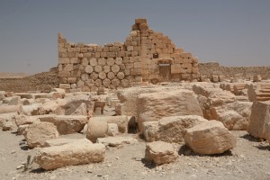 Palmyra - Syria - Palmira (242)
