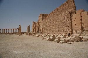Palmyra - Syria - Palmira (245)