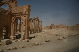 Palmyra - Syria - Palmira (246)