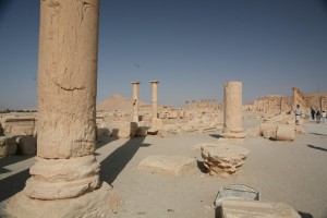 Palmyra - Syria - Palmira (25)