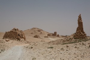 Palmyra - Syria - Palmira (260)