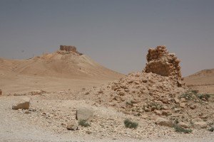 Palmyra - Syria - Palmira (261)