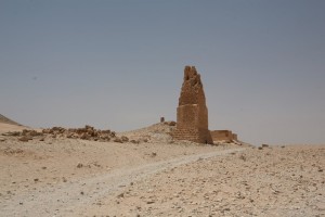Palmyra - Syria - Palmira (262)