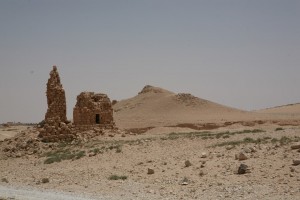 Palmyra - Syria - Palmira (264)