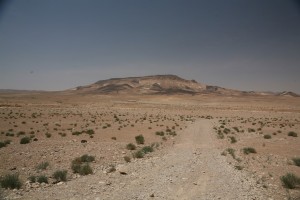 Palmyra - Syria - Palmira (278)