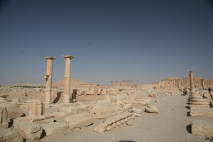 Palmyra - Syria - Palmira (28)