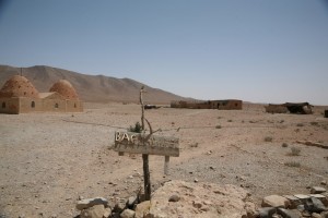 Palmyra - Syria - Palmira (291)