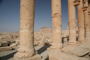 Palmyra - Syria - Palmira (35)