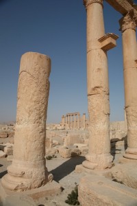 Palmyra - Syria - Palmira (36)