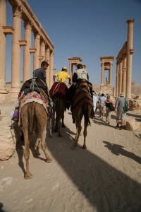 Palmyra - Syria - Palmira (41)