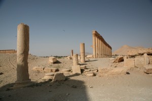 Palmyra - Syria - Palmira (60)