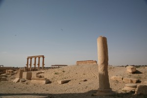 Palmyra - Syria - Palmira (61)