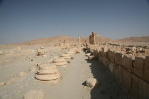Palmyra - Syria - Palmira (63)