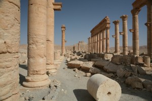 Palmyra - Syria - Palmira (73)