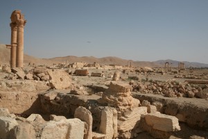 Palmyra - Syria - Palmira (76)