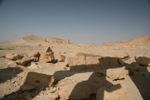 Palmyra - Syria - Palmira (85)