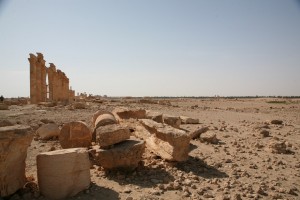 Palmyra - Syria - Palmira (86)