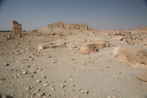 Palmyra - Syria - Palmira (92)